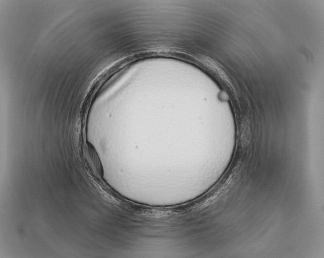 X0000112940831200909211132