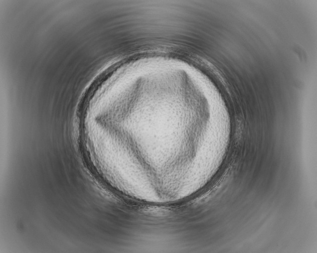 X0000112940835200909211132