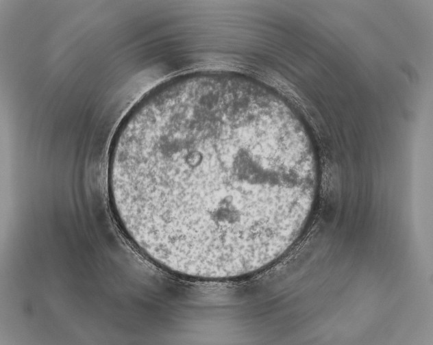 X0000112940836200909211132