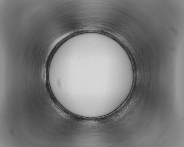 X0000112940838200909211132