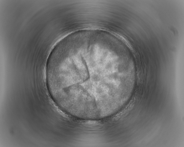 X0000112940839200909211132