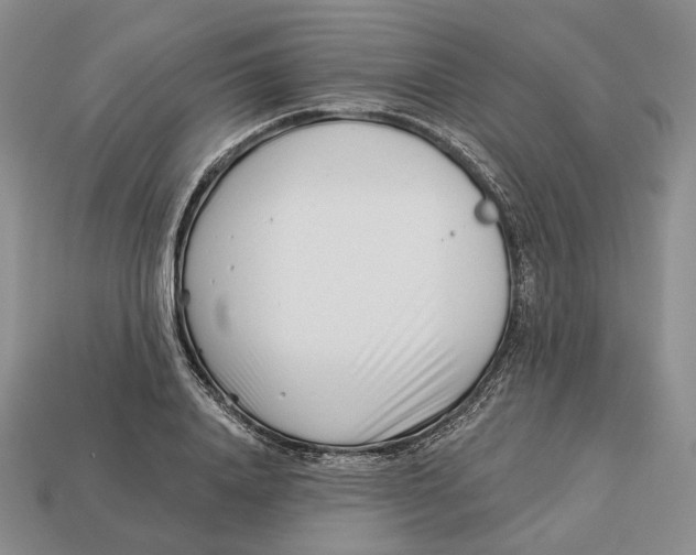 X0000112940840200909211132