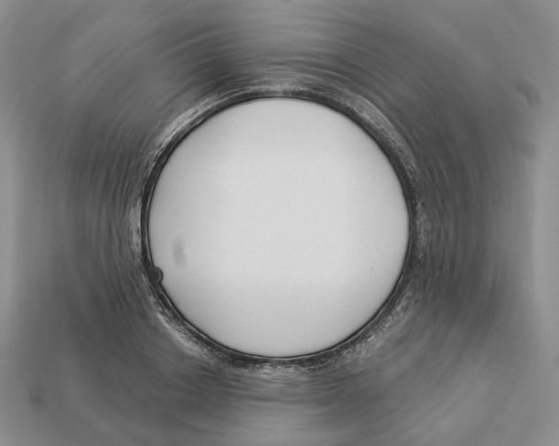 X0000112940842200909211132