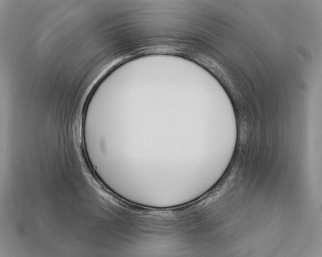 X0000112940844200909211132