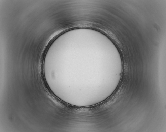 X0000112940846200909211132