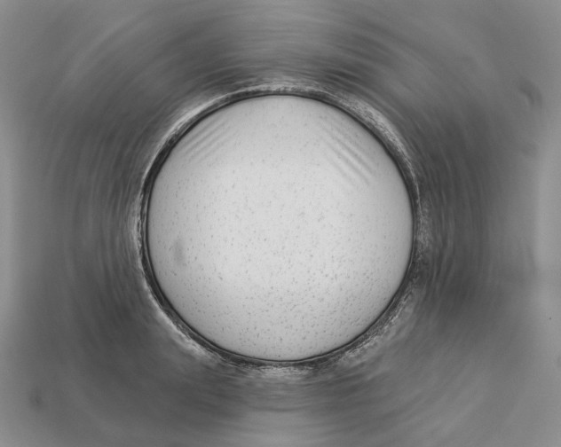 X0000112940847200909211132