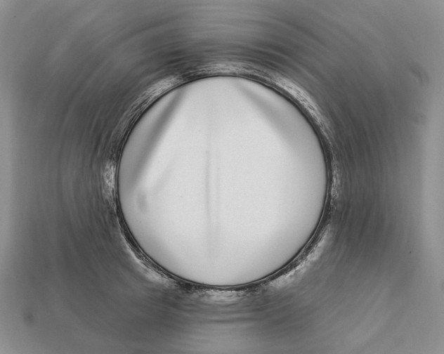 X0000112940849200909211132