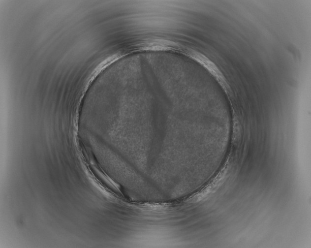 X0000112940850200909211132