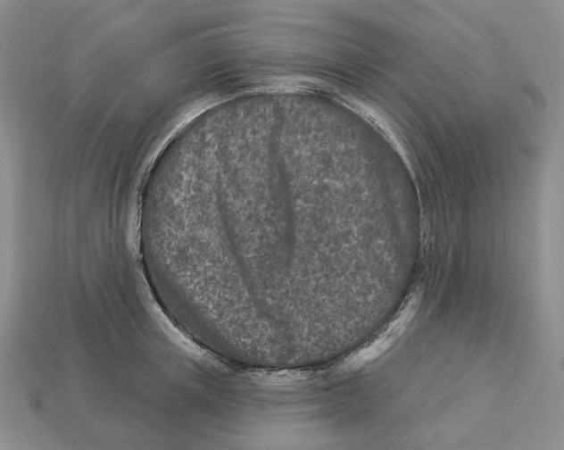 X0000112940851200909211132