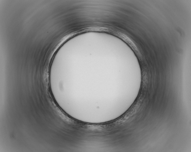 X0000112940852200909211132