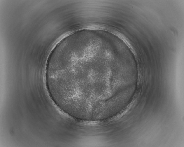 X0000112940853200909211132