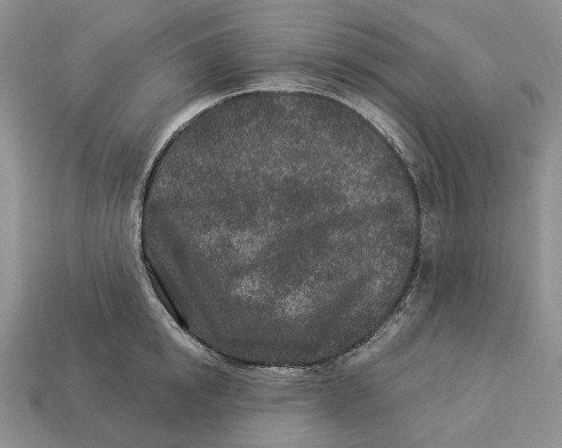 X0000112940854200909211132