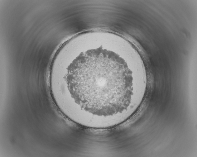 X0000112940856200909211132