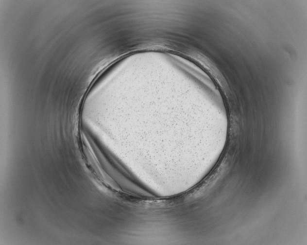 X0000112940858200909211132