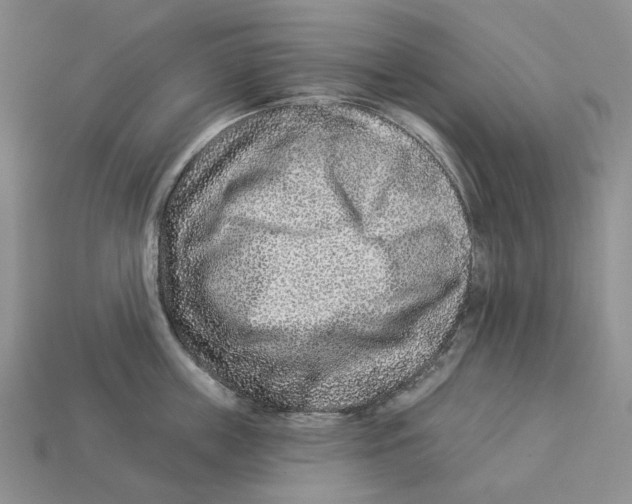 X0000112940859200909211132