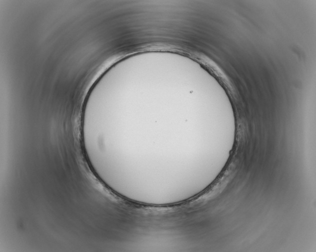 X0000112940860200909211132
