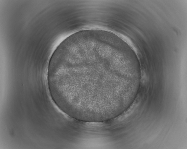 X0000112940863200909211132