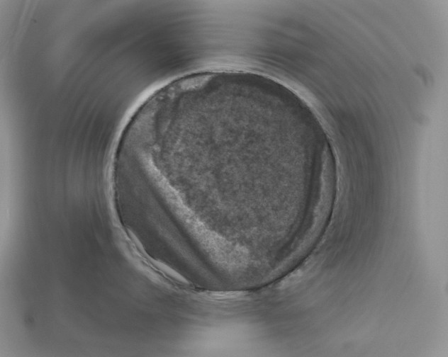 X0000112940864200909211132