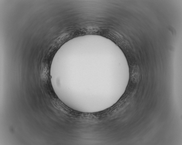 X0000112940866200909211132