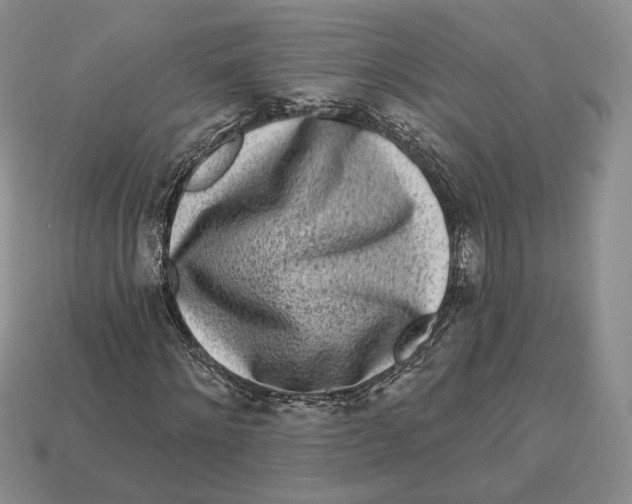 X0000112940868200909211132