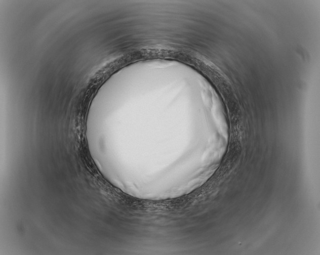 X0000112940870200909211132