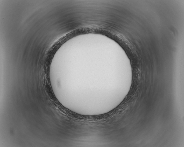 X0000112940872200909211132