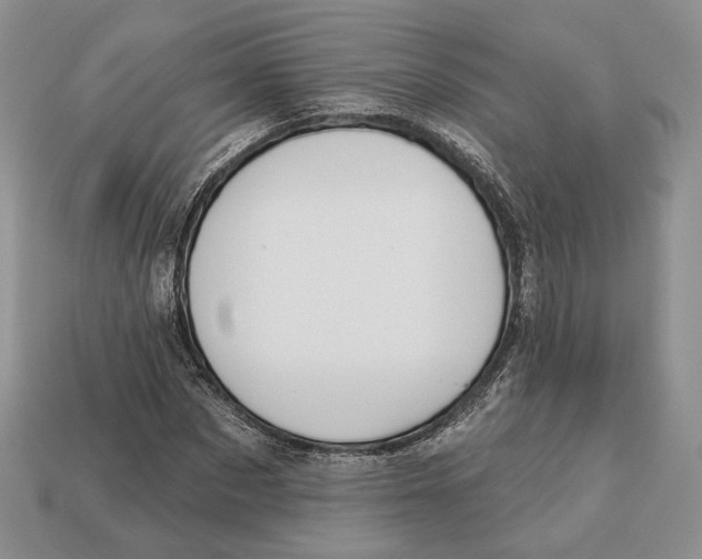 X0000112940873200909211132