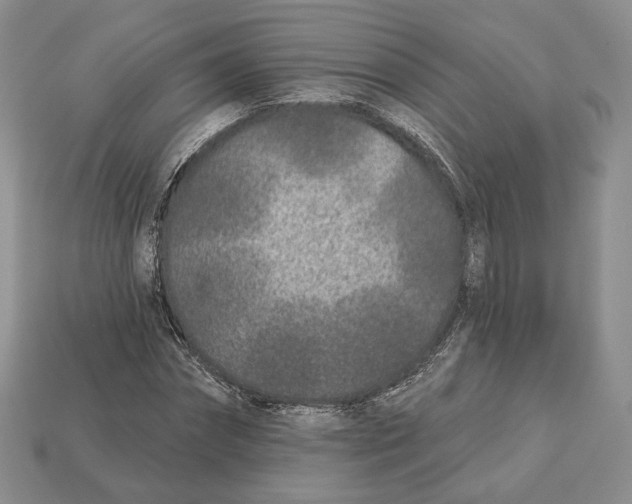 X0000112940874200909211132