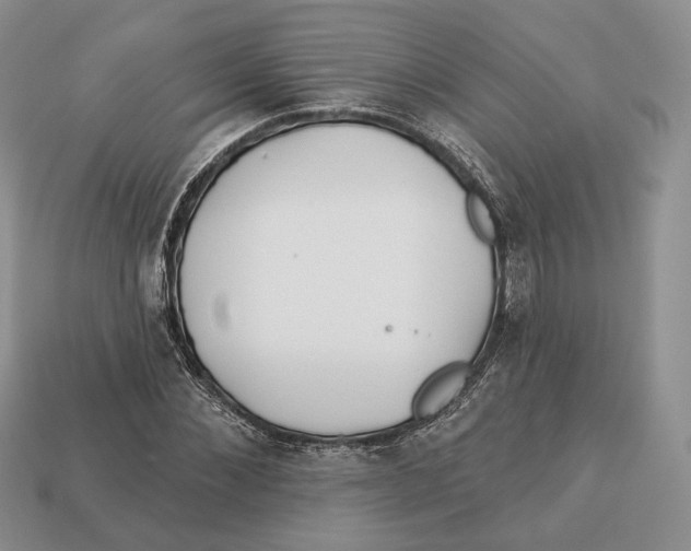 X0000112940876200909211131