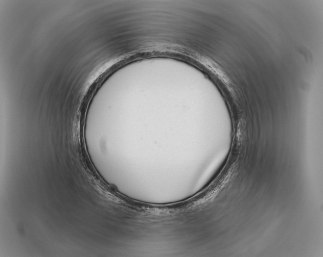 X0000112940877200909211131