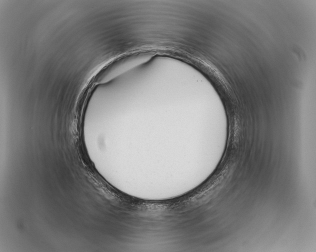X0000112940878200909211131