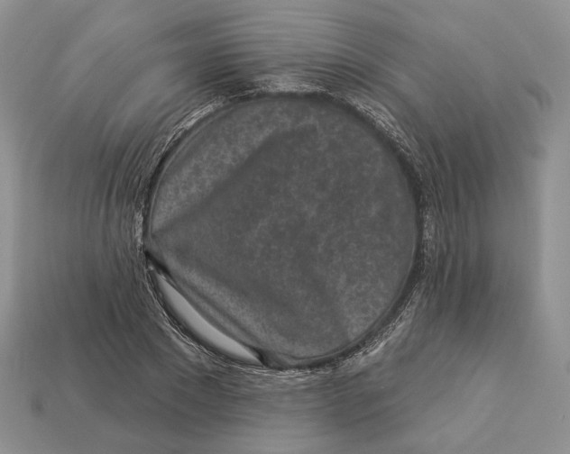 X0000112940881200909211131