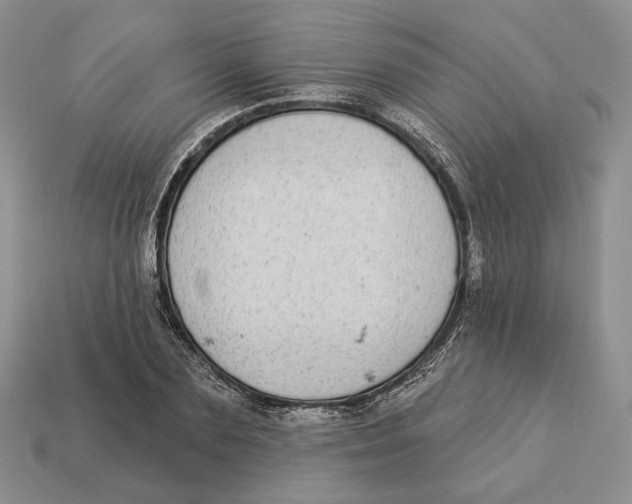 X0000112940883200909211131