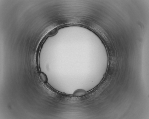 X0000112940884200909211131