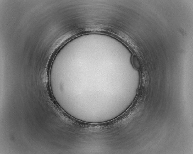 X0000112940885200909211131