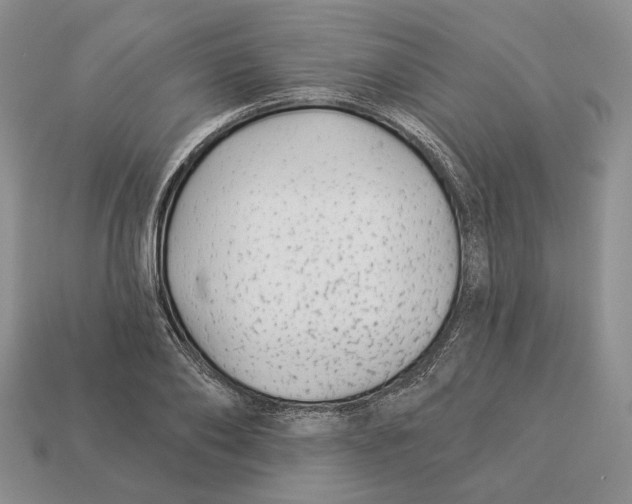 X0000112940886200909211131