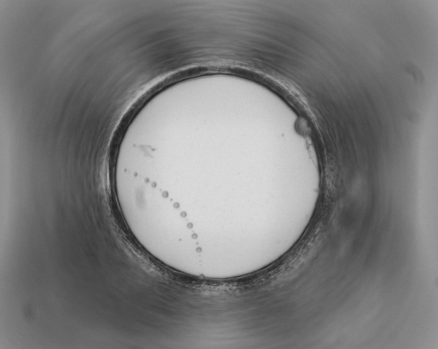 X0000112940887200909211131