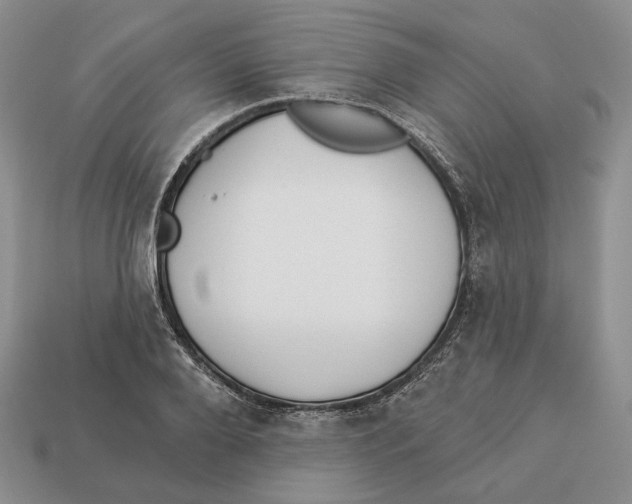X0000112940888200909211131