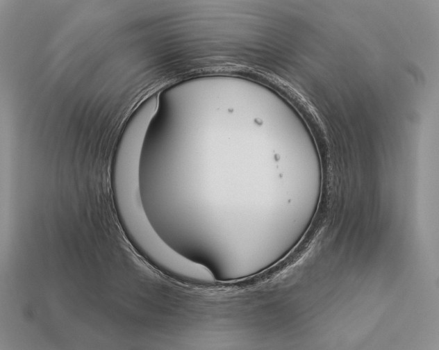 X0000112940889200909211131