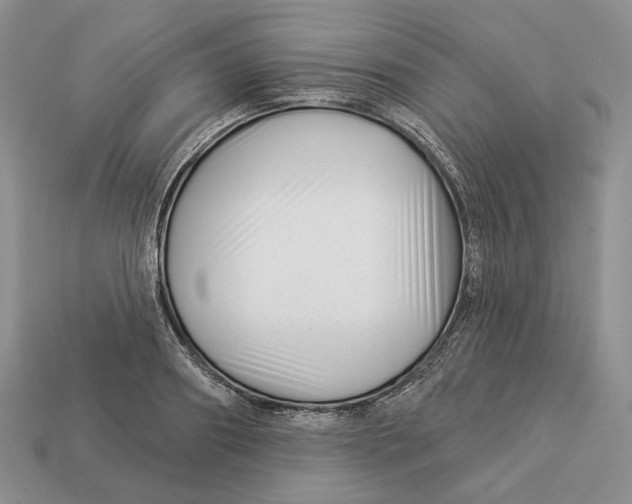 X0000112940890200909211131