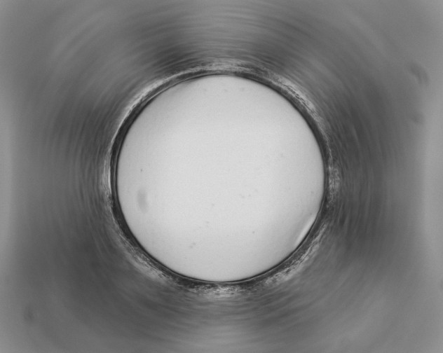 X0000112940891200909211131
