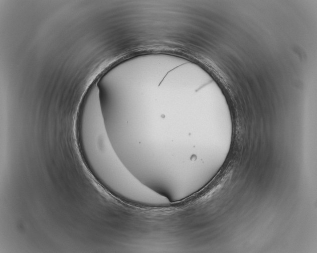 X0000112940893200909211131