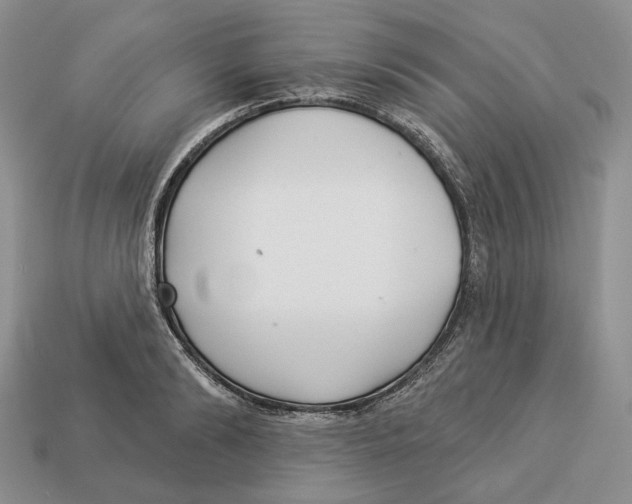X0000112940894200909211131