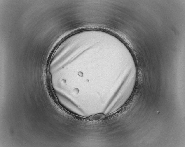 X0000112940895200909211131