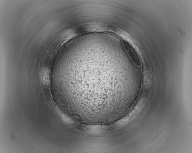 X0000112940897200909211131