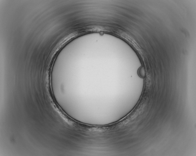 X0000112940898200909211131