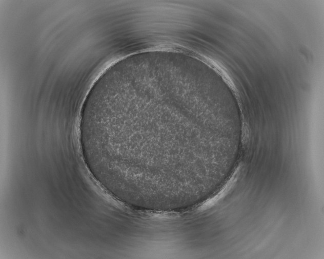 X0000112940899200909211131