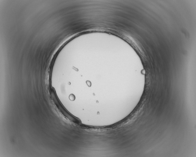X0000112940900200909211131