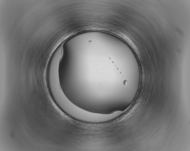 X0000112940901200909211131