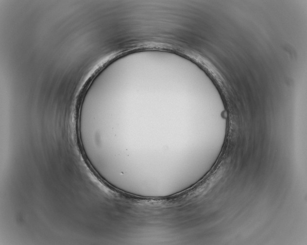X0000112940902200909211131